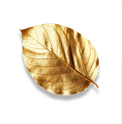 leaf image